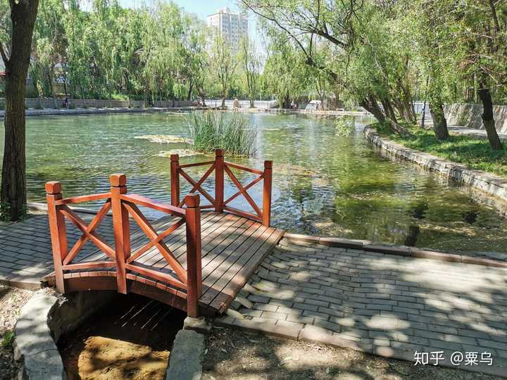 如何评价新疆大学的数学与应用数学专业?