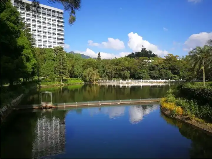 在香港中文大学 (cuhk) 就读是怎样一番体验?