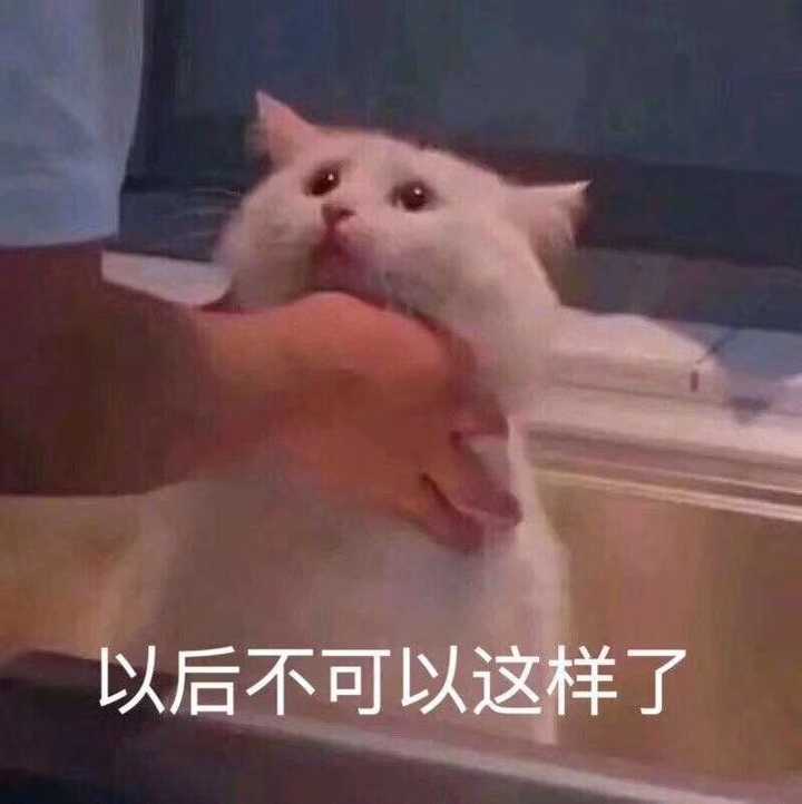 有那些撩男朋友的斗图?