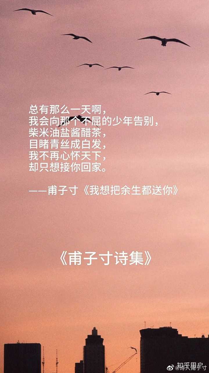 如何看待甫子寸的诗?