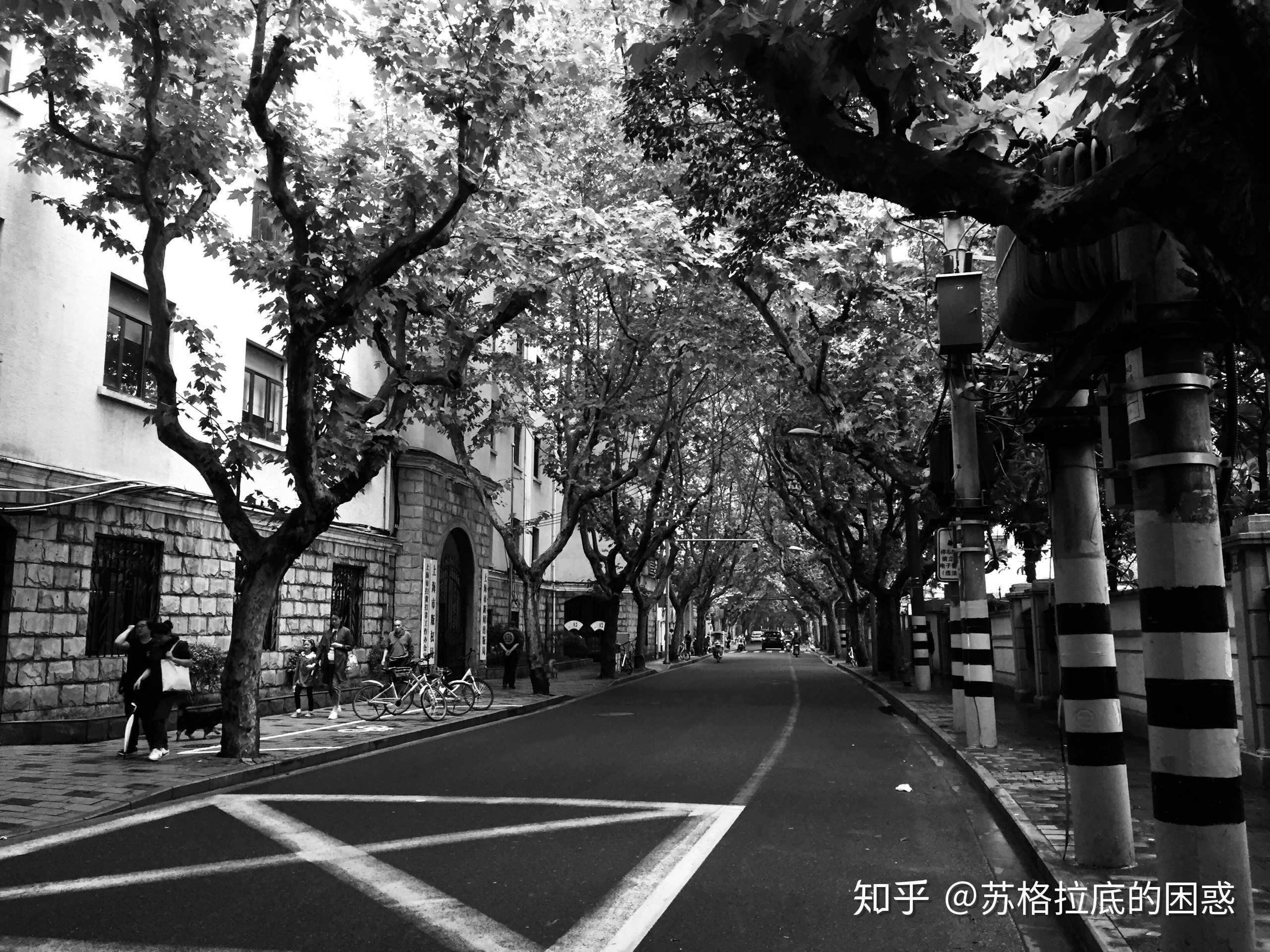 爱上上海的绍兴路,思南路,淮海中路,陕西南路