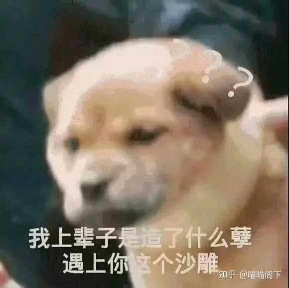 特别沙雕搞笑的表情包有木有?