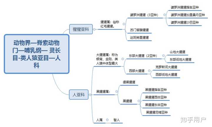 如何区分黑猩猩,大猩猩和猩猩?