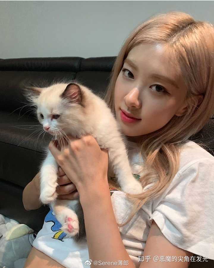 lisa的三只猫分别猫是什么品种?