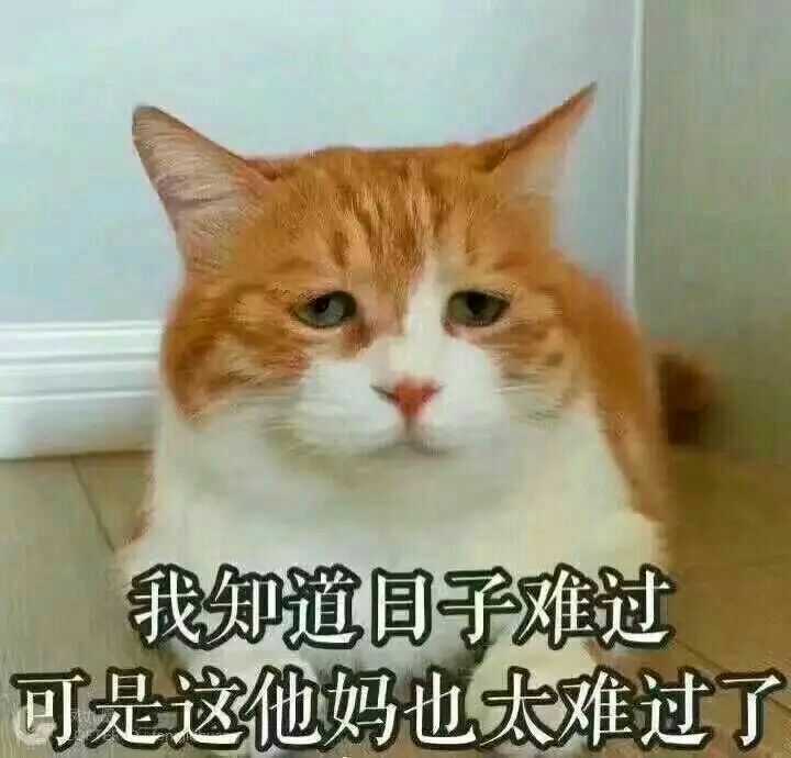 丢人丢到家是种怎样的体验?