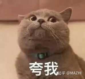 有没有调皮又优雅的表情包?