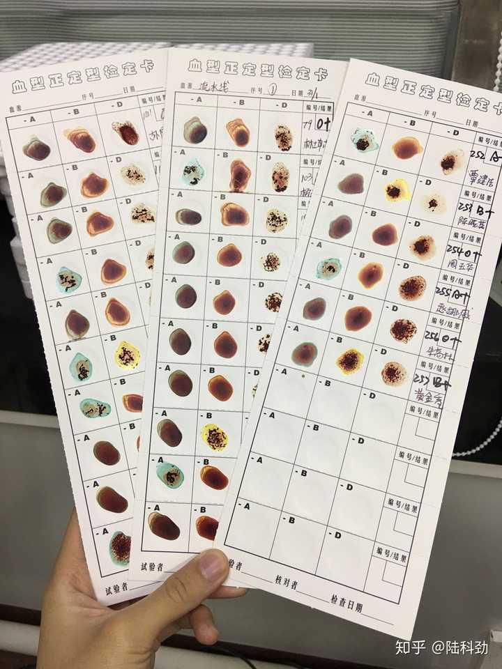 帮病人测血型