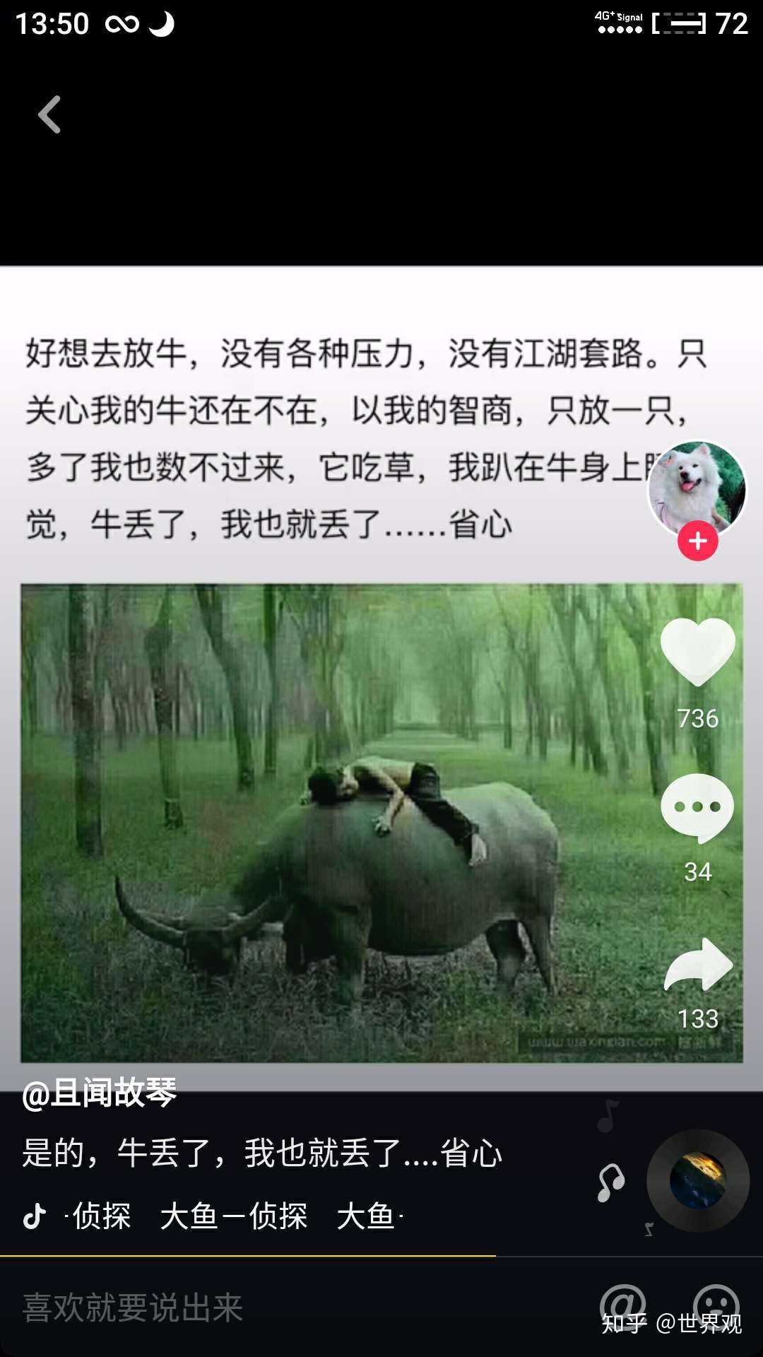 想去放牛