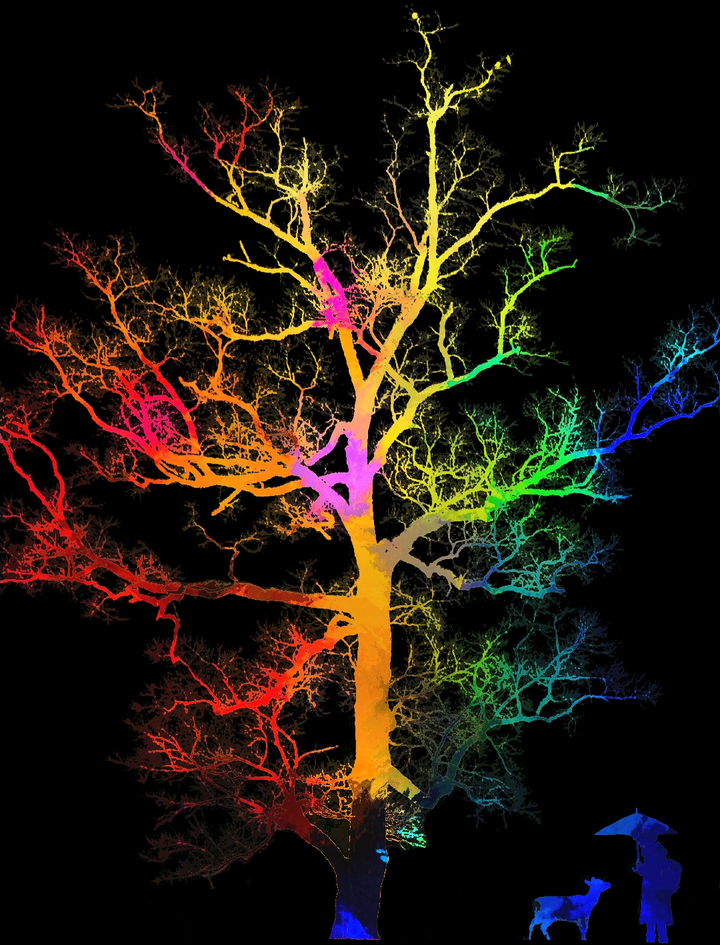 有什么图片适合小米的自定义息屏显示?