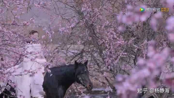 如何评价电视剧将夜2