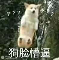 你都存了哪些沙雕表情包?
