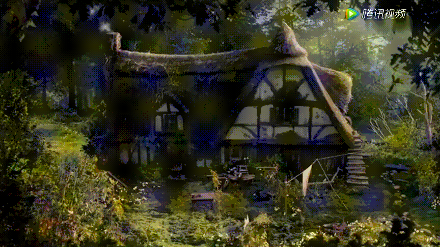 虽然曾经给爱洛下过诅咒 恨她讨厌她 在她修复树皮回头的那一刻,她