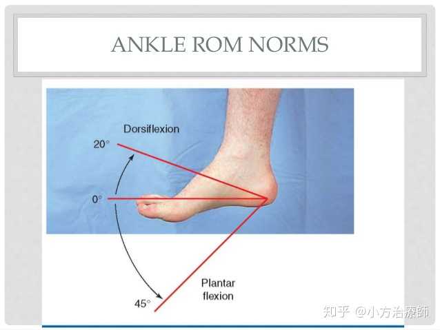 关节活动度最基本的话需要有背屈(勾脚尖)以及跖屈(往下踩)的动作