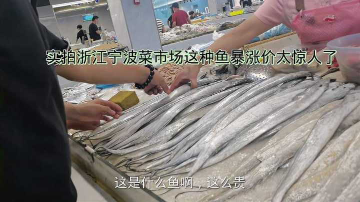 贵州小太军哥 的想法 实拍浙江宁波菜市场这种鱼暴涨价太惊人了,去