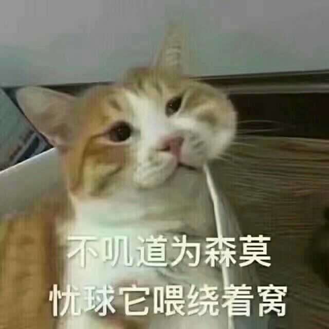 整个人都懵逼了是种怎样的体验?