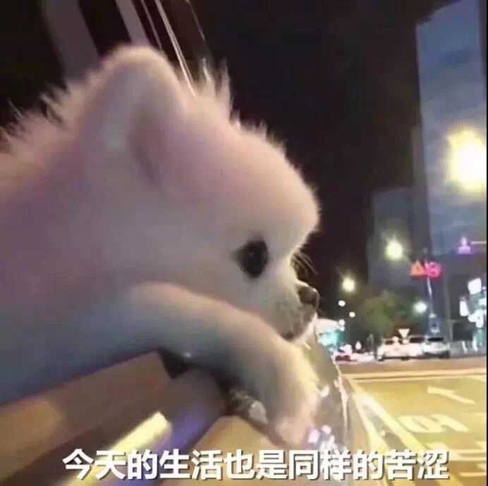发个图我感觉手要废了,我那么辛苦你们真的忍心不点个赞什么的吗(疯狂