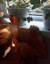 你都存了哪些沙雕表情包?