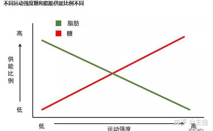 不同运动强度糖和脂肪供能比例