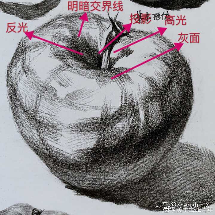 素描苹果窝的明暗变化,求大神图解?