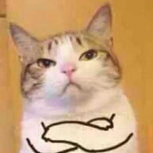 为什么很多知乎用户喜欢使用猫咪的表情包?