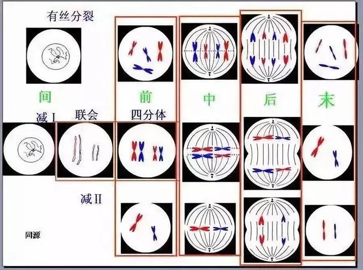 高三一年如何从普通985走向清北?