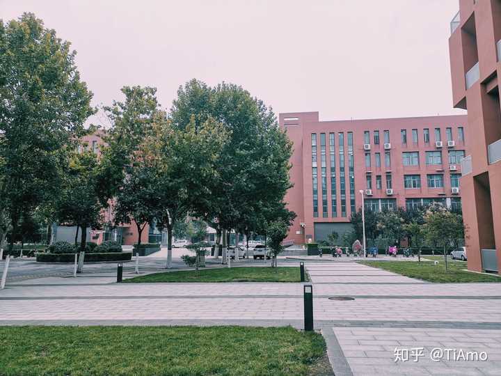 郑州轻工业大学有哪些王牌专业?