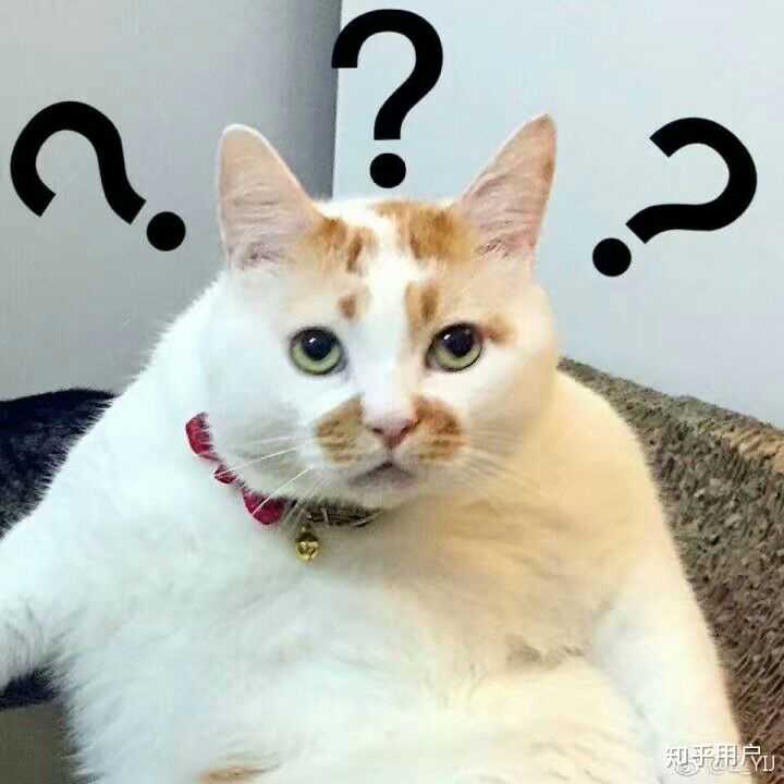 真的很抓狂了当时.