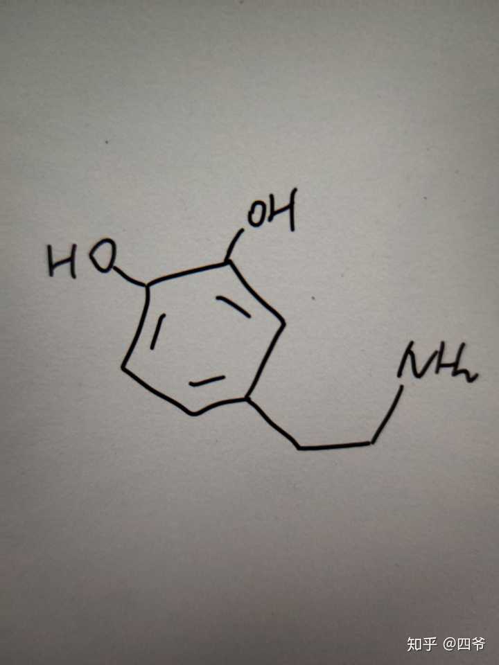 这下能记住多巴胺的结构了么?