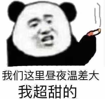 我常常因为表情包过于沙雕而感到和周围的凡人格格不入 这个问题简直