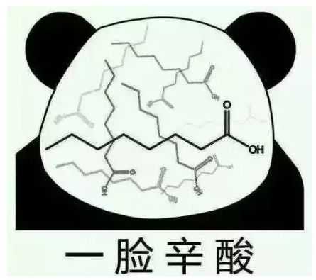 有哪些适合化学专业学生使用的头像?