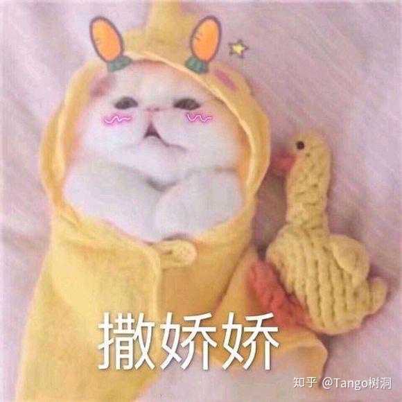 你的小可爱来了