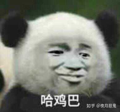 qq里一天就只知道哈哈哈哈哈哈的人有什么表情包可以让他们住嘴