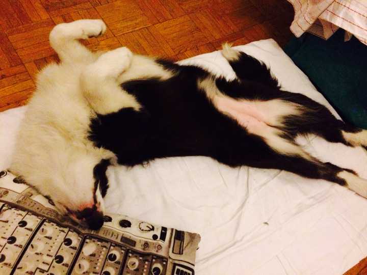 死亡跟睡觉一样感觉吗图片