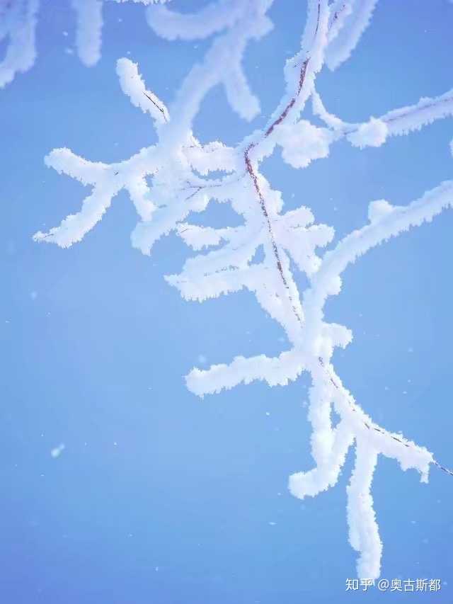 你还记得第一次看到大海/下雪的心情吗?