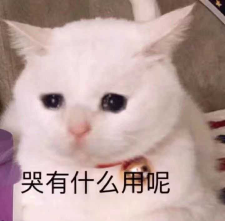 居然破千了qaq知乎小透明表示受宠若惊!再更几张我最近保存的图叭