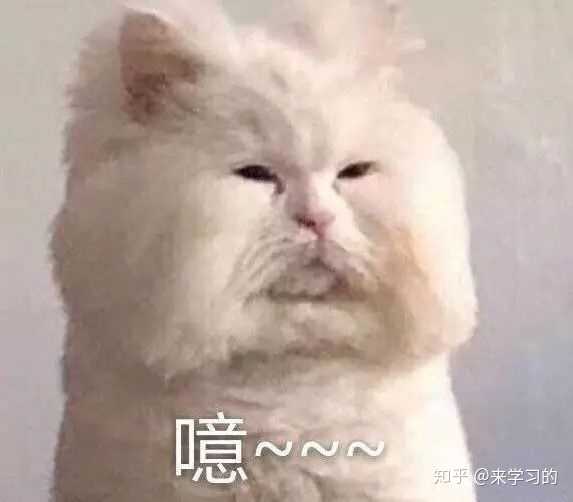 有没有这个猫的表情不起呀,好可爱蠢萌蠢萌的!