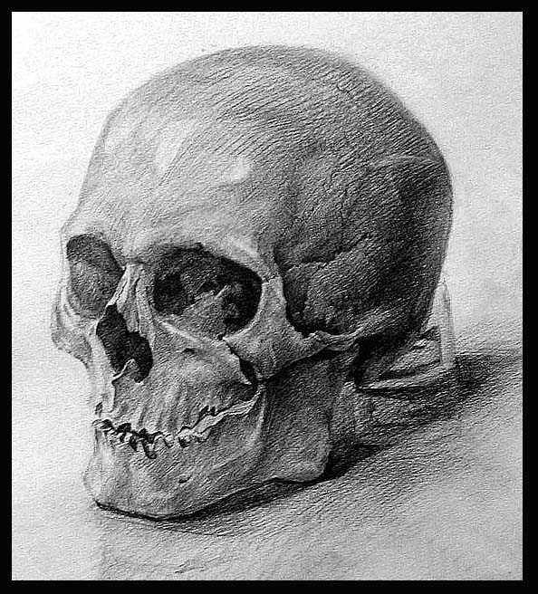 这是真实的头骨,在素描课上空暇时间一小时内速写.16k.铅笔素描纸.
