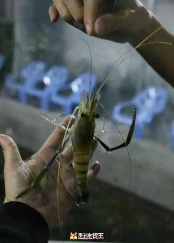 想搞个钓虾馆,但是想做加盟的,望大神给我个钓虾加盟商的联系方式或