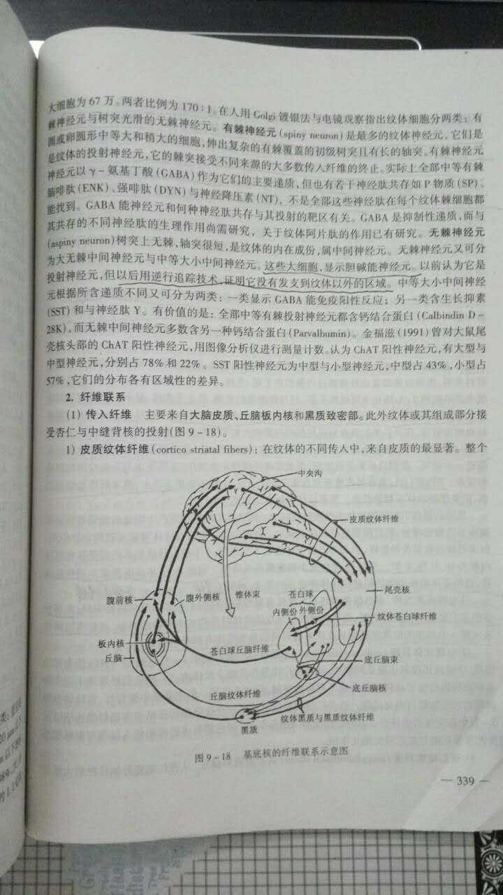 目前教科书对基底神经节几个主要核团之间的神经投射的描述是准确的吗