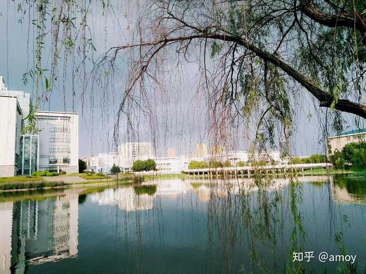 在安徽师范大学就读是怎样一番体验?