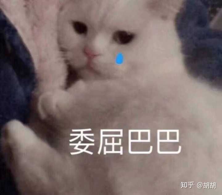 求推荐认错用的表情包谢谢?