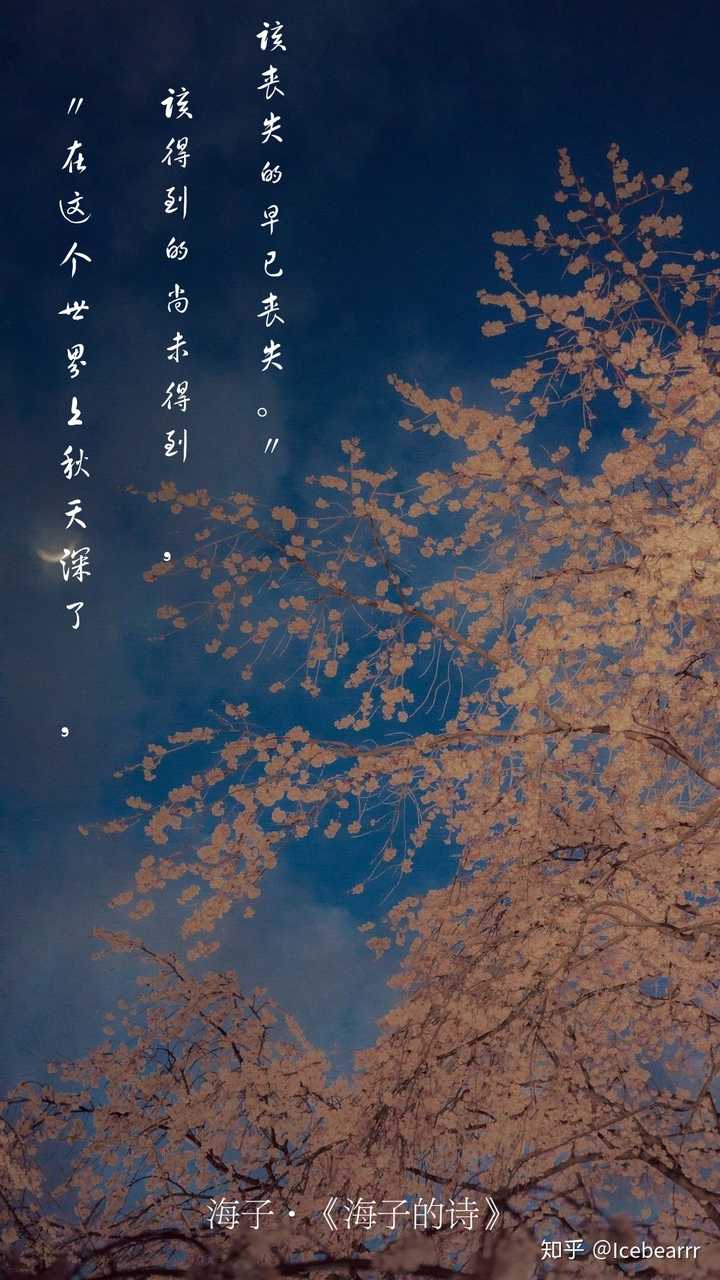《海子的诗》