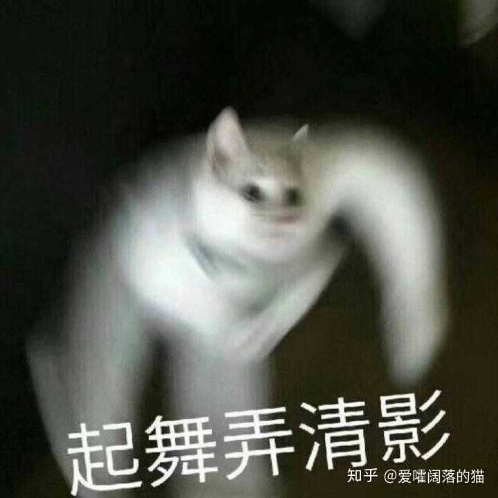 有哪些沙雕表情包?
