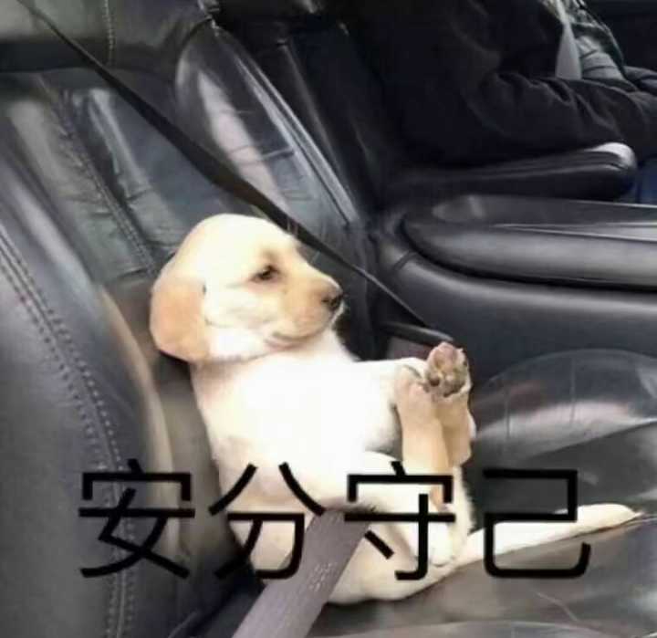 赢不了的,不要问了,女孩子的心思你别猜,认真你就输了