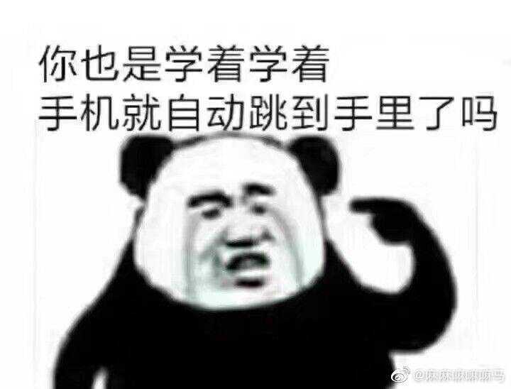 仙女退出群聊专用 只要坚持使用,你就能成为一名众所皆知的沙雕