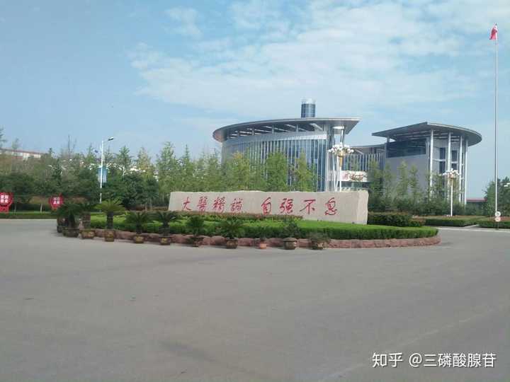山东医学高等专科学校的校园环境如何?