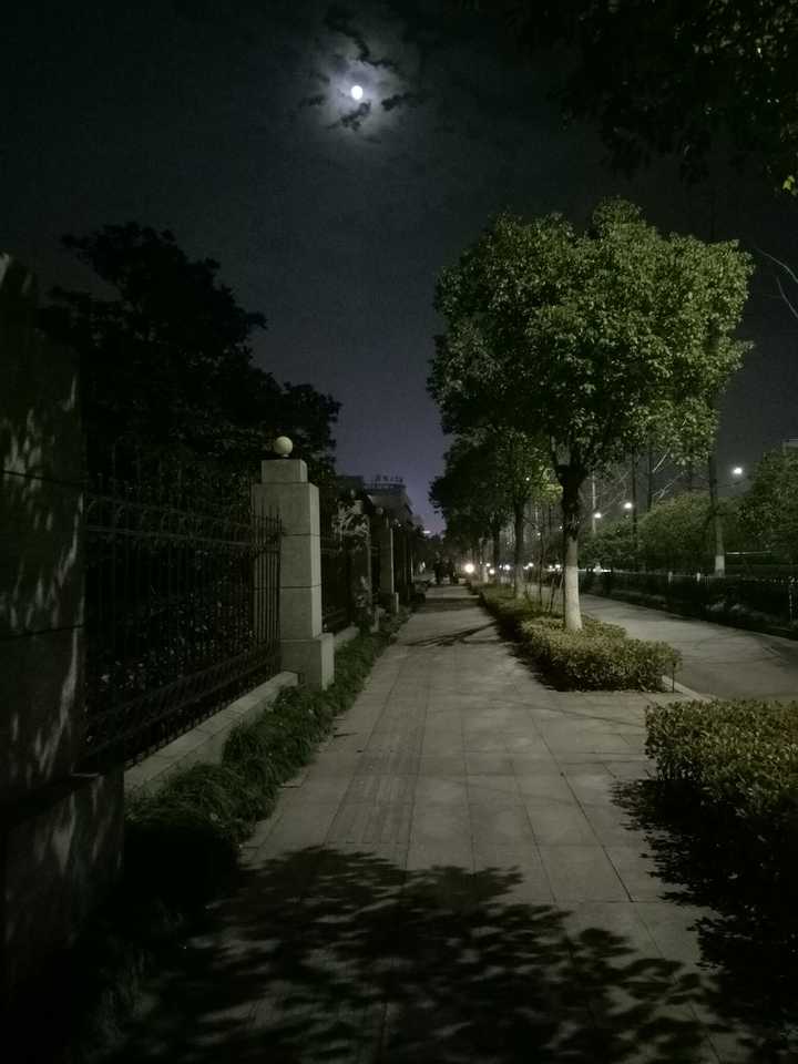 月黑风高的夜晚 车水马龙的街头 一直都是