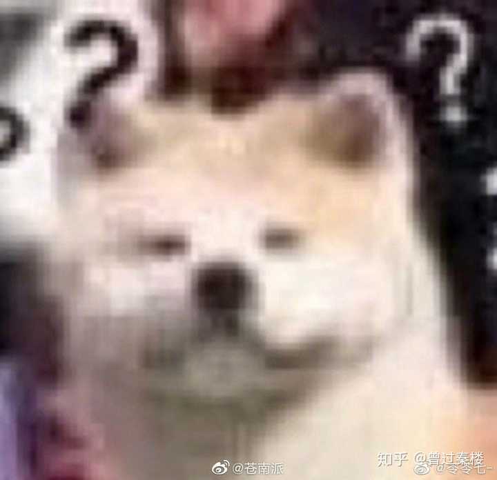 这只小狗也敲可爱