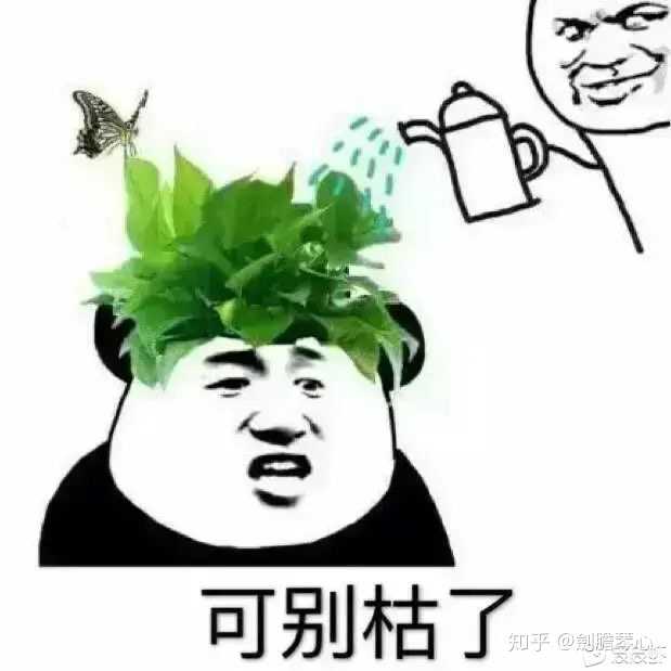 没错就是你想的那样,帽子戴好别歪了