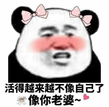 有哪些情侣之间常用的表情包?